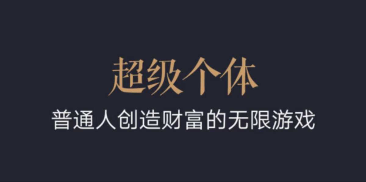 超级个体：2024-2025翻盘指南，普通人创造财富的无限游戏-爱找项目网