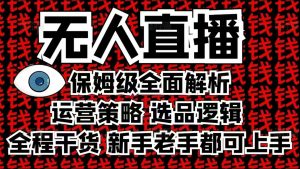 2025无人直播这么做就对了，保姆级全面解析，全程干货，新手老手都可上手-爱找项目网
