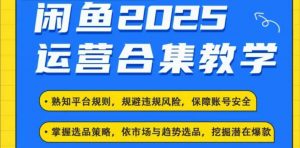 2025闲鱼电商运营全集，2025最新咸鱼玩法-爱找项目网