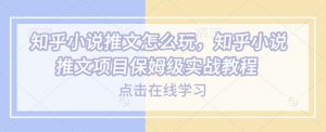 知乎小说推文怎么玩，知乎小说推文项目保姆级实战教程-爱找项目网