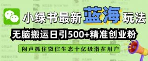 小绿书无脑搬运引流，全自动日引500精准创业粉，微信生态内又一个闷声发财的机会-爱找项目网