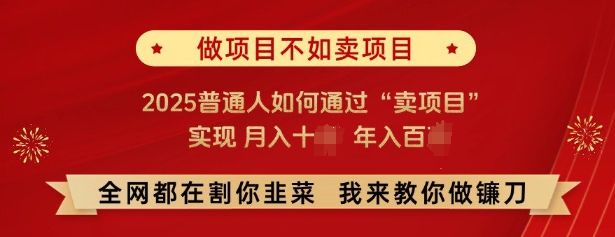 必看，做项目不如卖项目，2025普通人如何通过“卖项目”实现月入十个，年入百个-爱找项目网