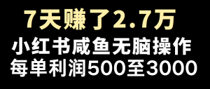 全网首发，7天赚了2.6万，2025利润超级高！-爱找项目网