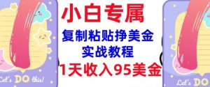 复制粘贴挣美金，0门槛，1天收入95美刀，3分钟学会，内部教程(首次公开)-爱找项目网