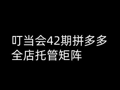 叮当会拼多多打爆班原创高阶技术第42期，拼多多全店托管矩阵-爱找项目网
