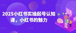 2025小红书实操起号认知课，小红书的魅力-爱找项目网
