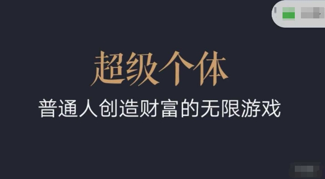 超级个体2024-2025翻盘指南，普通人创造财富的无限游戏-爱找项目网