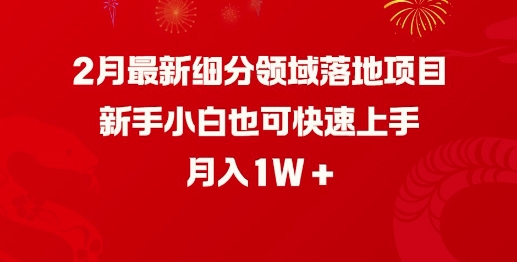 2月最新细分领域落地项目，新手小白也可快速上手，月入1W-爱找项目网