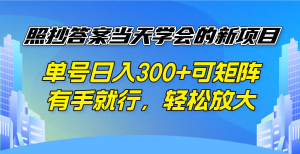 照抄答案当天学会的新项目，单号日入300 +可矩阵，有手就行，轻松放大-爱找项目网
