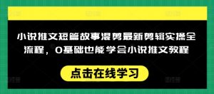 小说推文短篇故事混剪最新剪辑实操全流程，0基础也能学会小说推文教程，肯干多发日入多张-爱找项目网