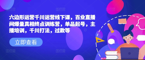 六边形运营千川运营线下课，百业直播间爆量真相终点训练营，单品起号，主播培训，千川打法，过款等-爱找项目网