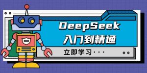 DeepSeek入门到精通，涵盖职场应用及身份扮演，驯服指南及顶级提示词-爱找项目网