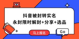 抖音被封转实名攻略，永久封禁也能限时解封，分享解封后高效选品技巧-爱找项目网