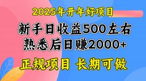 2025开年好项目，单号日收益2000左右-爱找项目网