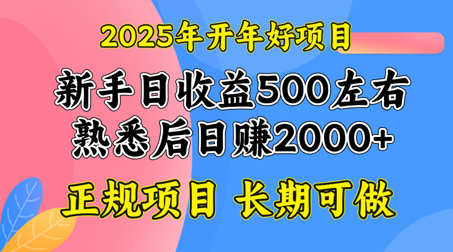 2025开年好项目，单号日收益2000左右-爱找项目网