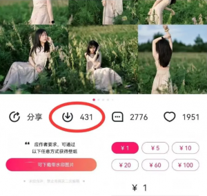 最新图虫搬运项目，收益无上限，利用AI小白也可日赚500+-爱找项目网