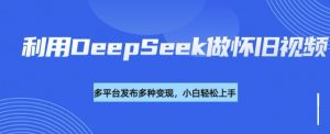 利用DeepSeek做怀旧视频，流量号多渠道变现能力强-爱找项目网