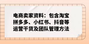 电商卖家资料：包含淘宝、拼多多、小红书、抖音等运营干货及团队管理方法-爱找项目网