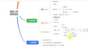 苏博士·淘宝精细化铺货运营陪跑(部分更新至2025)-爱找项目网