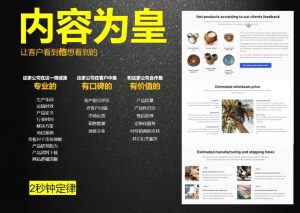 刘老师·外贸询盘增长秘籍从0到1的实战指南-爱找项目网