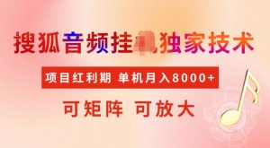 首发搜狐音频挂JI，项目红利期，可矩阵可放大，稳定月入5k【揭秘】-爱找项目网