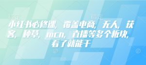 小红书必修课,覆盖电商,无人,获客,种草,mcn,直播等多个板块,看了就能干-爱找项目网