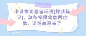小说推文最新玩法(视频标记)，单条视频收益四位数，详细教程来了-爱找项目网