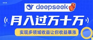 用DeepSeek席卷各大平台，快速上手实现多领域，让你收入猛增-爱找项目网