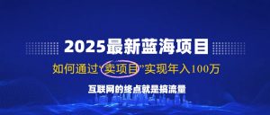 2025最新蓝海项目，零门槛轻松复制，月入10万+，新手也能操作！-爱找项目网