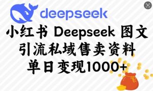 小红书Deepseek图文引流私域售卖资料，单日变现多张-爱找项目网