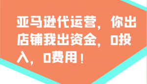 亚马逊代运营，你出店铺我出资金，0投入，0费用，无责任每天300分红，赢亏我承担-爱找项目网