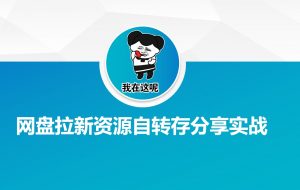 网盘拉新资源自动转存分享实战-爱找项目网