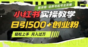 2月小红书最新日引500+创业粉实操教学【超详细】小白轻松上手，月入1W+，附小红书养号起号SOP-爱找项目网