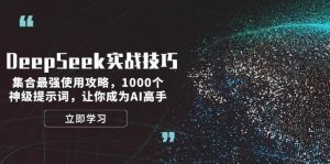 DeepSeek实战技巧：集合最强使用攻略，1000个神级提示词，让你成为AI高手-爱找项目网