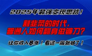 2025年最强变现思路，割韭菜的时代， 普通人如何翻身做镰刀？【揭秘】-爱找项目网