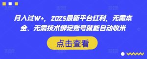 月入过W+，2025最新平台红利，无需本金、无需技术绑定账号就能自动收米-爱找项目网