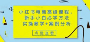 小红书电商高级课程，新手小白必学方法，实操教学+案例分析-爱找项目网