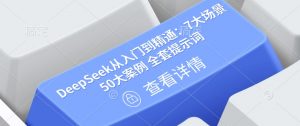 DeepSeek从入门到精通：7大场景 50大案例 全套提示词【文档】-爱找项目网