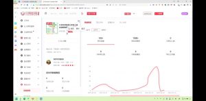 2025小红书虚拟电商实战课-爱找项目网