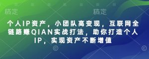 个人IP资产，小团队高变现，互联网全链路赚QIAN实战打法，助你打造个人IP，实现资产不断增值-爱找项目网