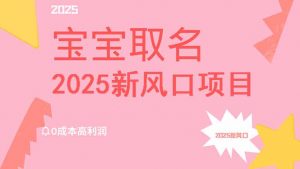 2025新风口项目宝宝取名，0成本高利润，附保姆级教程，月入过万不是梦-爱找项目网