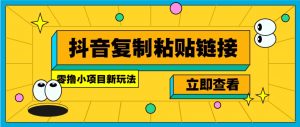 零撸小项目，新玩法，抖音复制链接0.07一条，20秒一条，无限制。-爱找项目网