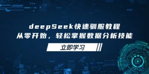 deepSeek快速驯服教程，从零开始，轻松掌握数据分析技能-爱找项目网