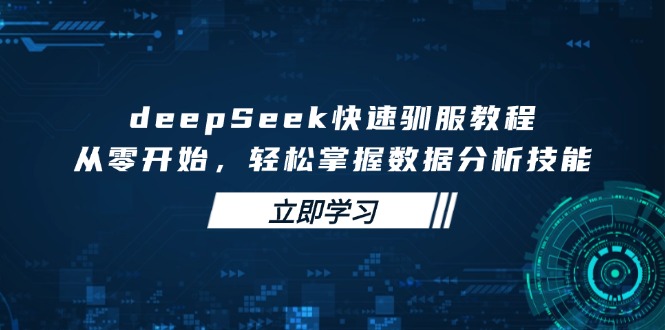 deepSeek快速驯服教程，从零开始，轻松掌握数据分析技能-爱找项目网