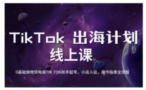 TikTok跨境电商新手起号与运营全攻略，0基础做跨境电商TIKTOK新手起号，小店入驻，操作指南全流程-爱找项目网