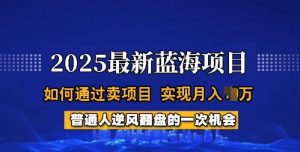 2025蓝海项目，普通人如何通过卖项目，实现月入过W，全过程【揭秘】-爱找项目网