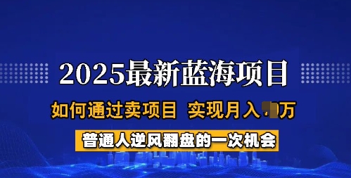 2025蓝海项目，普通人如何通过卖项目，实现月入过W，全过程【揭秘】-爱找项目网