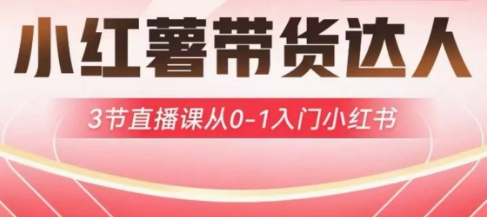 小红薯达人带货启航计划，3节直播课从0-1入门小红书-爱找项目网