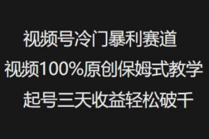 视频号冷门暴利赛道视频100%原创保姆式教学起号三天收益轻松破千-爱找项目网