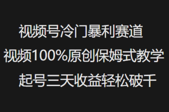 视频号冷门暴利赛道视频100%原创保姆式教学起号三天收益轻松破千-爱找项目网